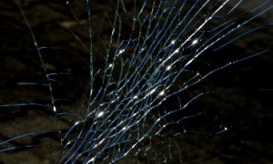 cracked window that needs safety window film installation